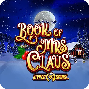 Book Of Mrs Claus