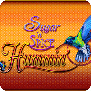 Sugar N Spice Hummin